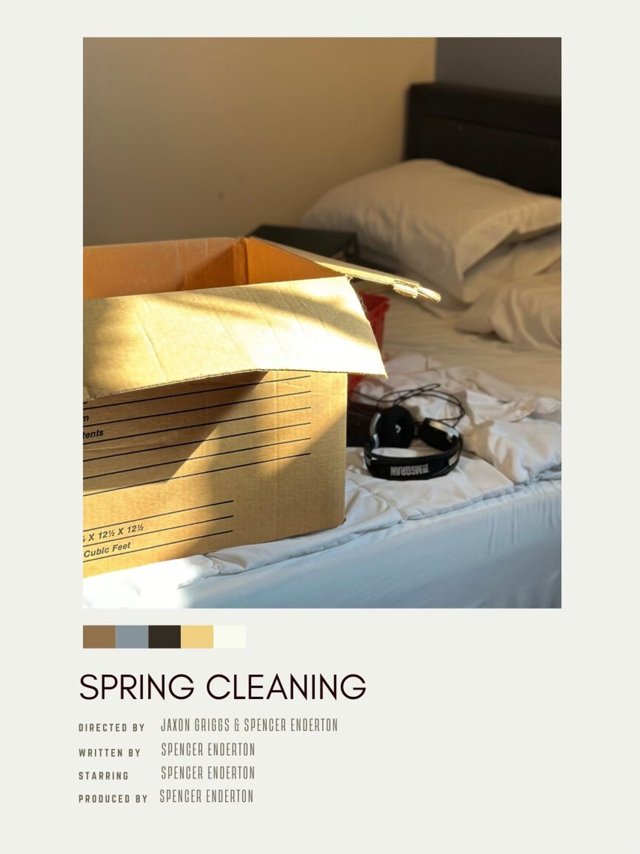 Spring Cleaning poster
