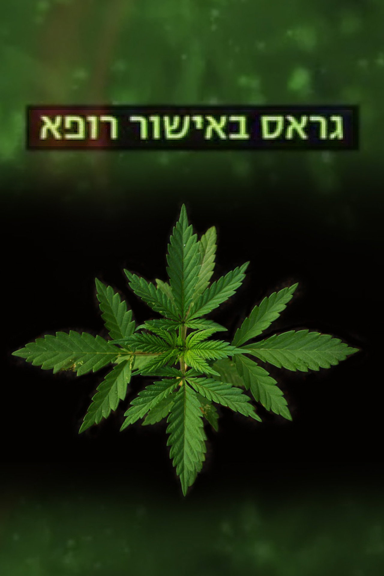 גראס באישור רופא filmaffisch