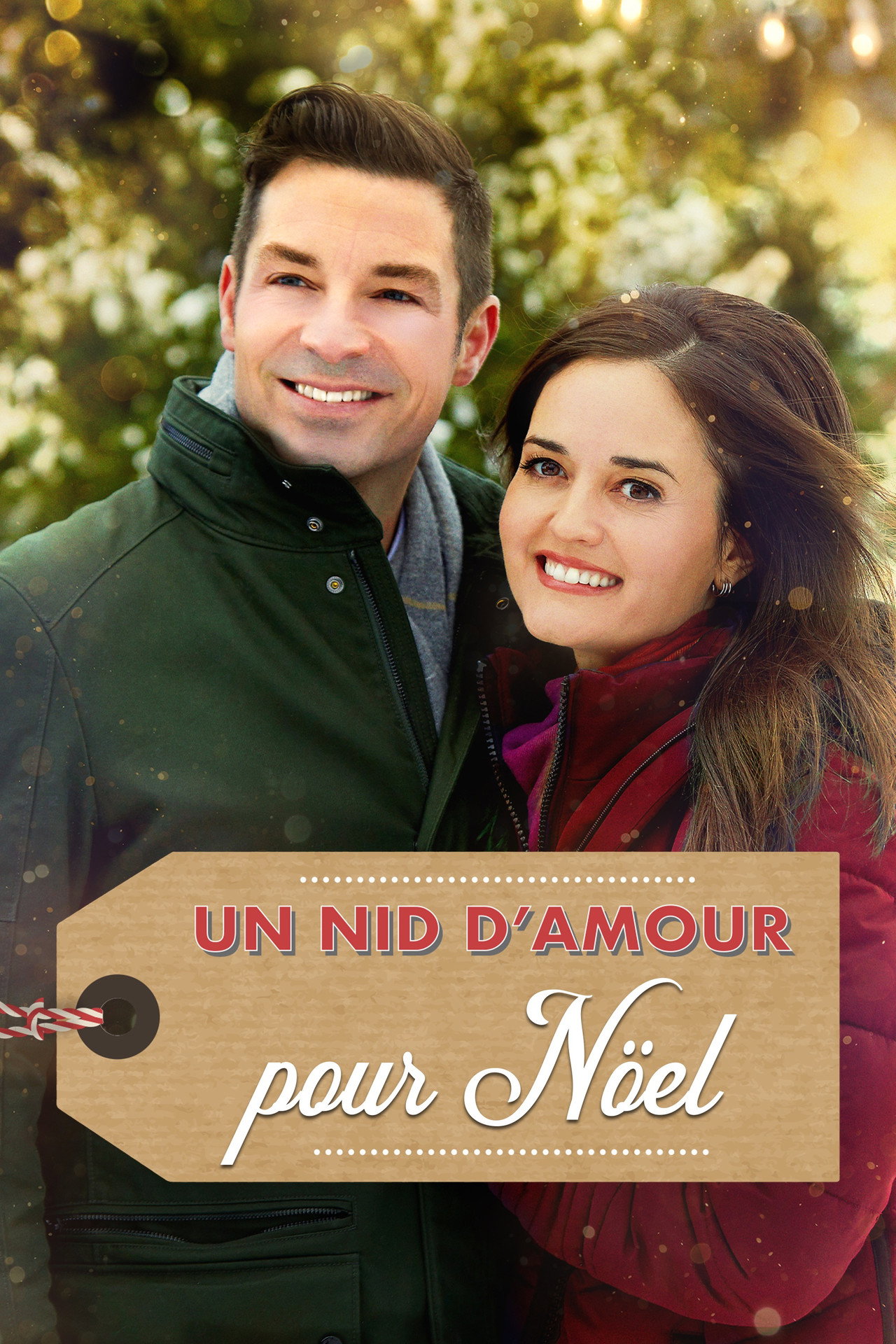Un nid d'amour pour Noël poster