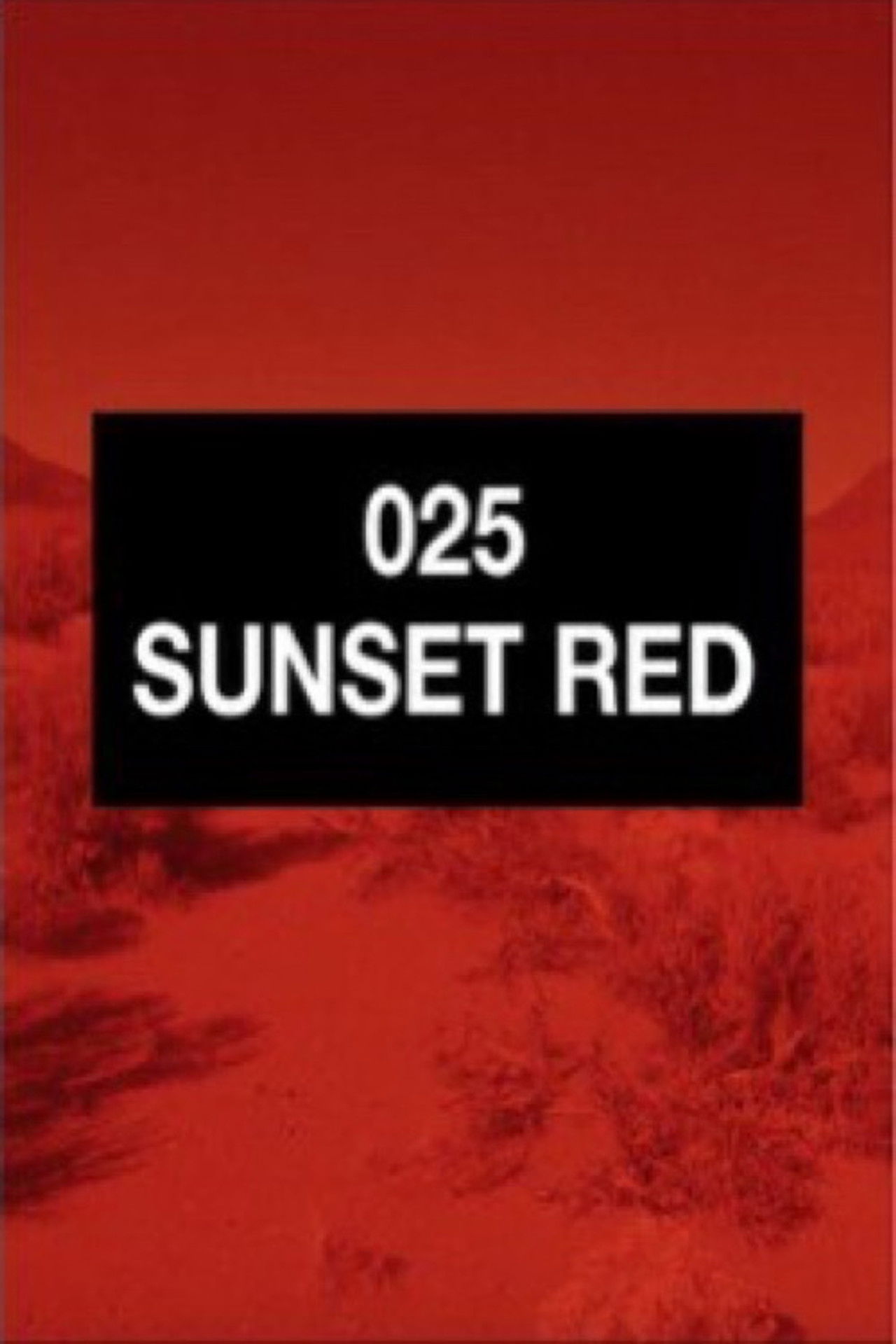 025 Sunset Red Backdrop
