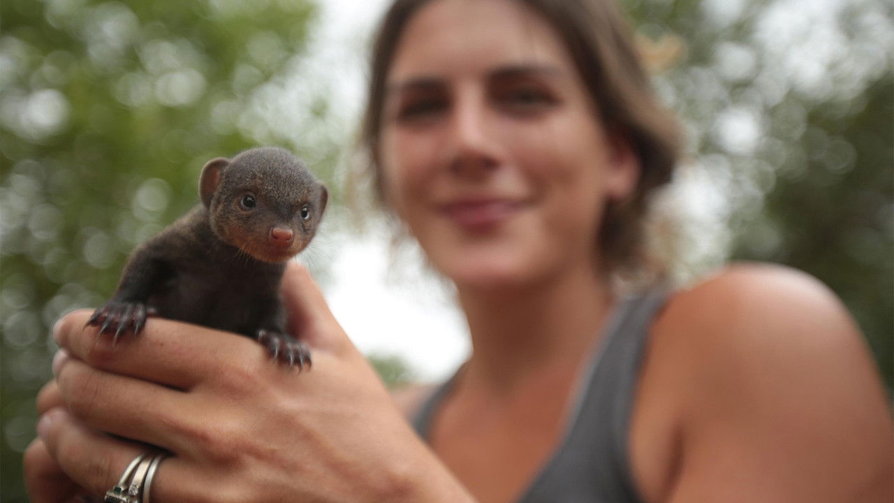 Work on the Wild Side — Épisode 5