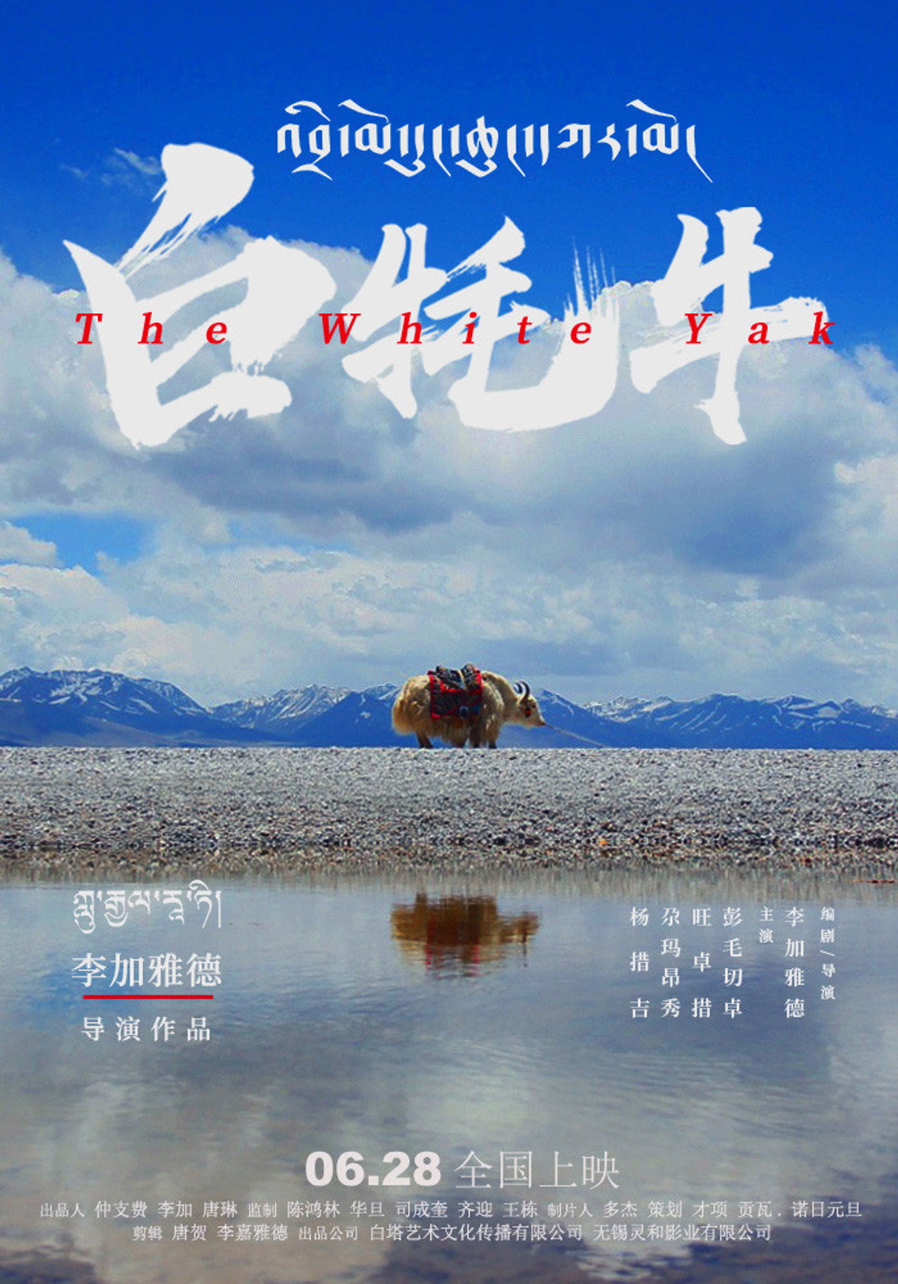 白牦牛 filmaffisch