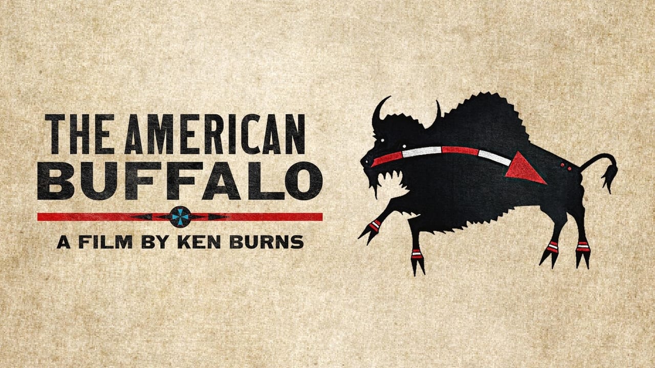 The American Buffalo background