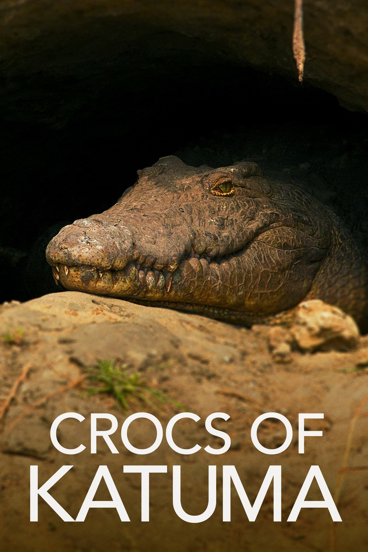 Crocs of Katuma filmaffisch