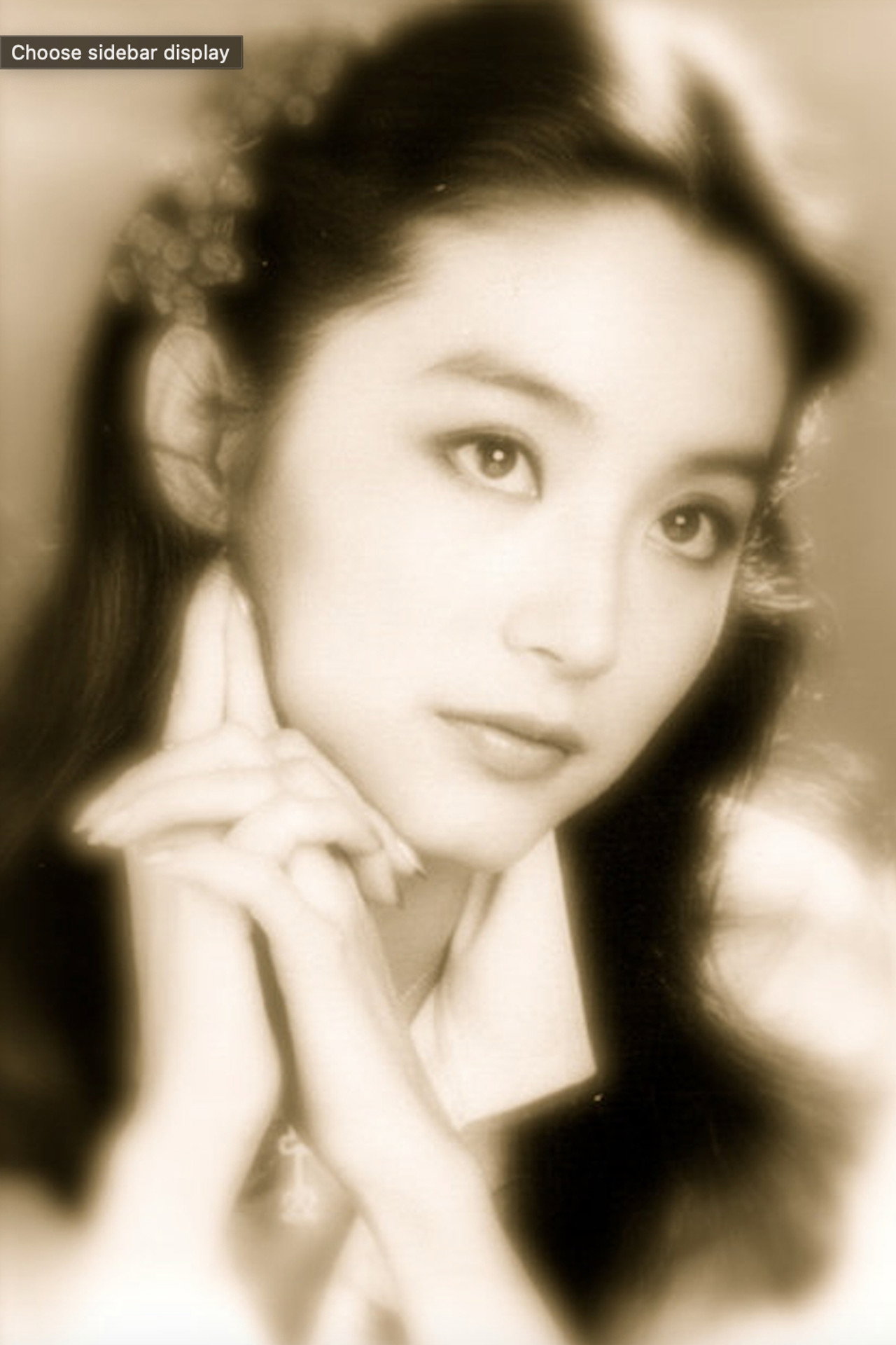 A Portrait of Lin Ching Hsia filmaffisch