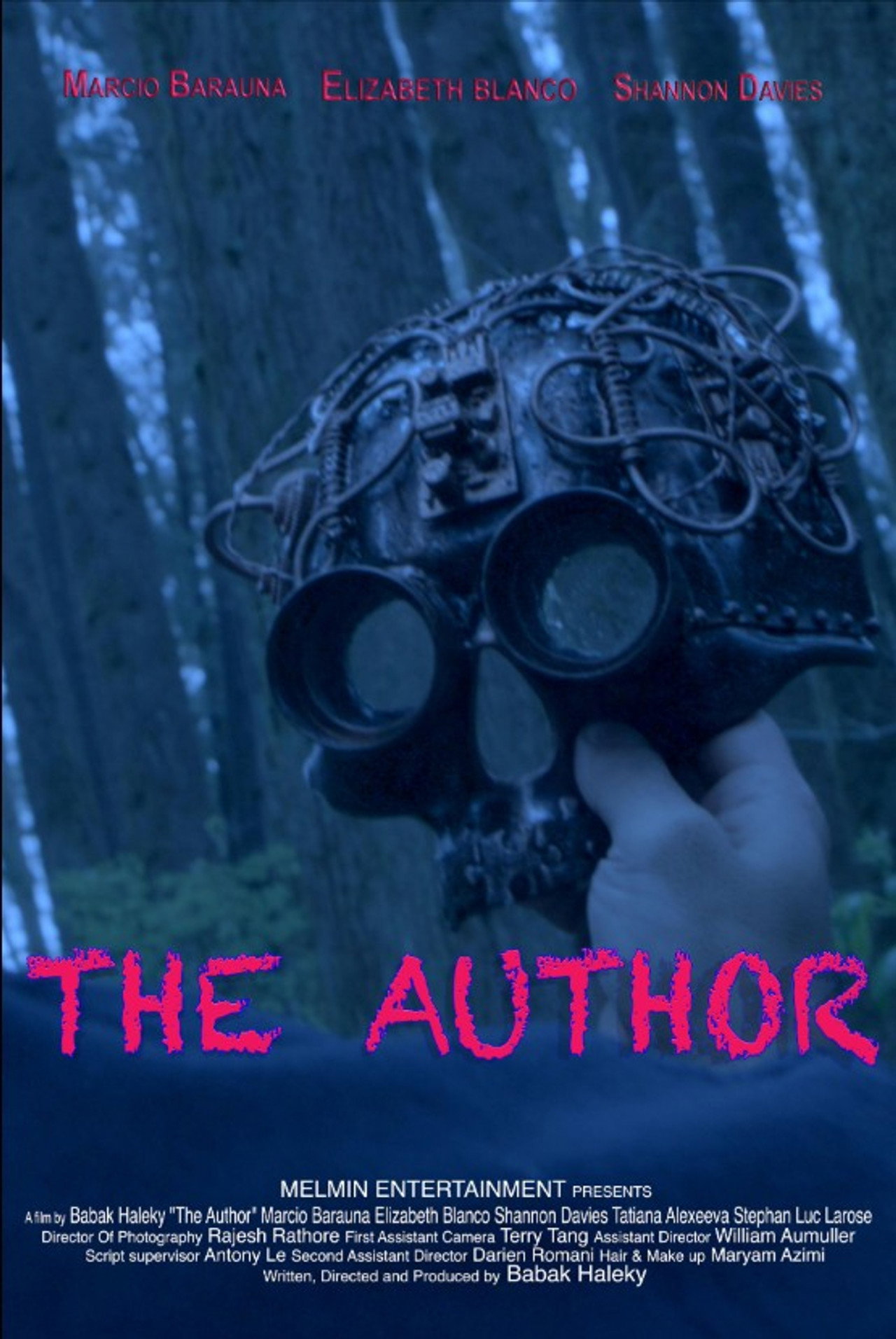 The Author