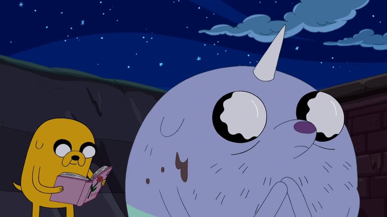 Adventure Time - Season 6 Episode 30 : The Diary