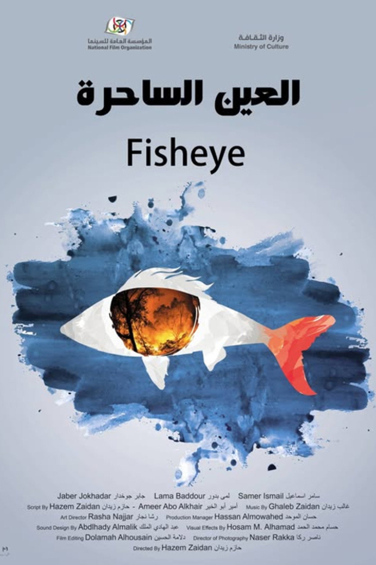 Fisheye