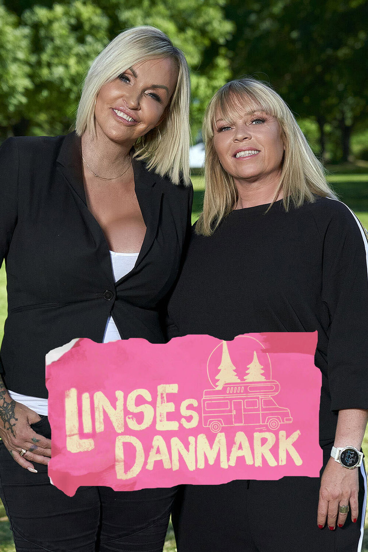 Linses Danmark affisch