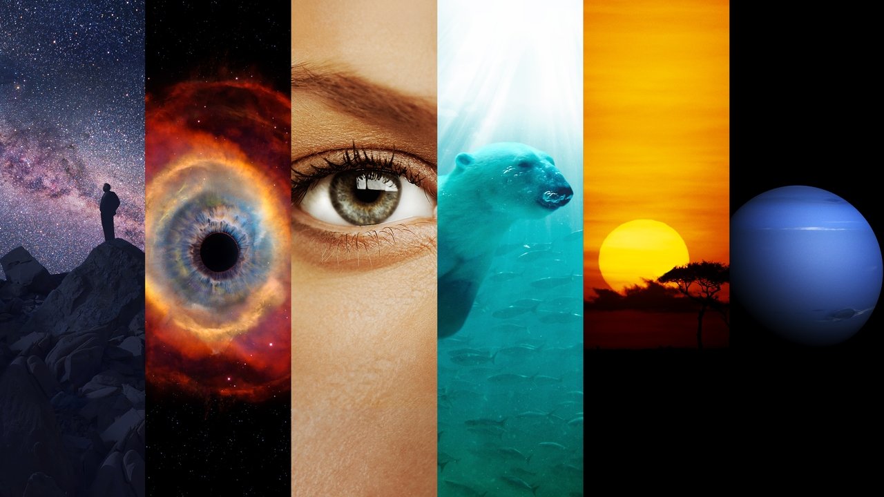 Backdrop for Cosmos