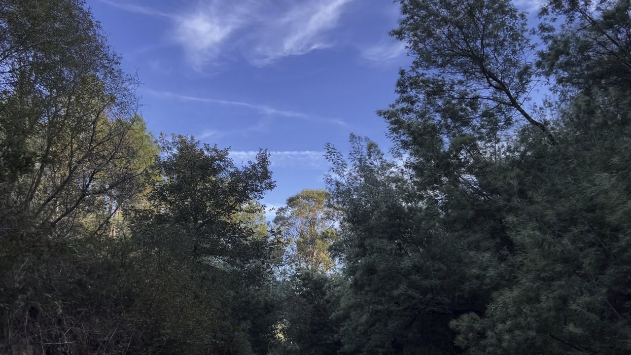 title image