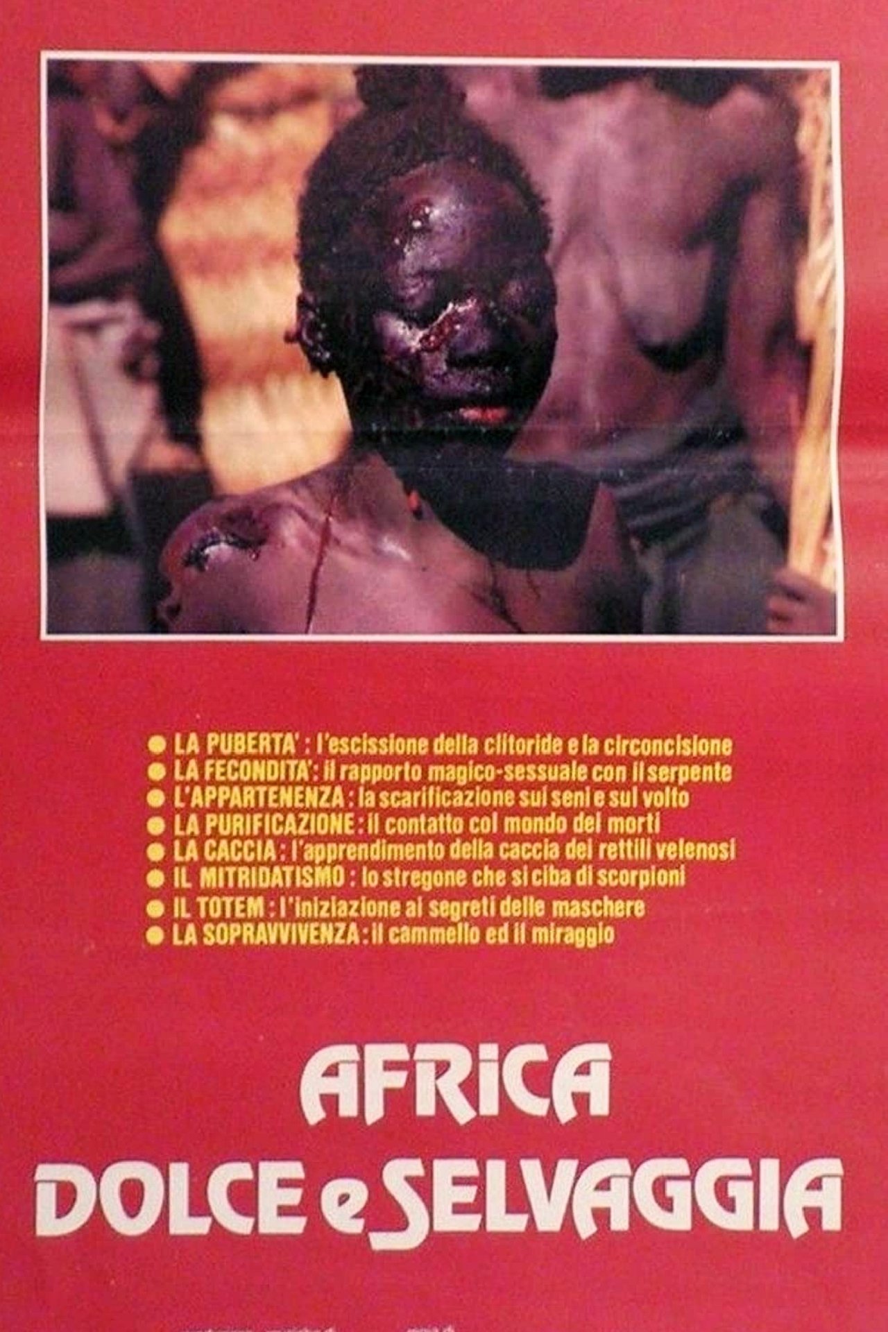 مشاهدة فيلم Sweet and Wild Africa مترجم بدون اعلانات - بوستر