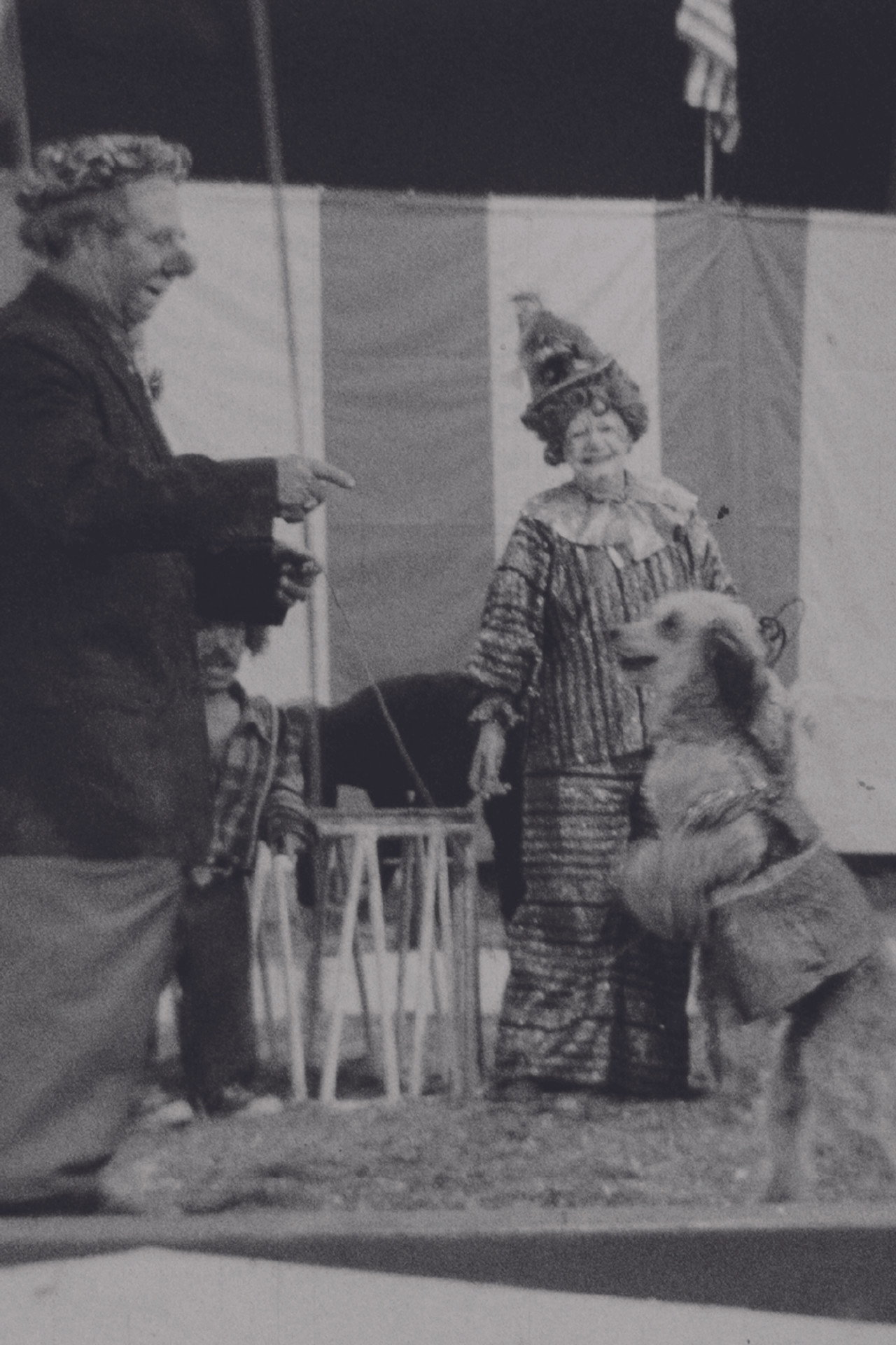 Circus