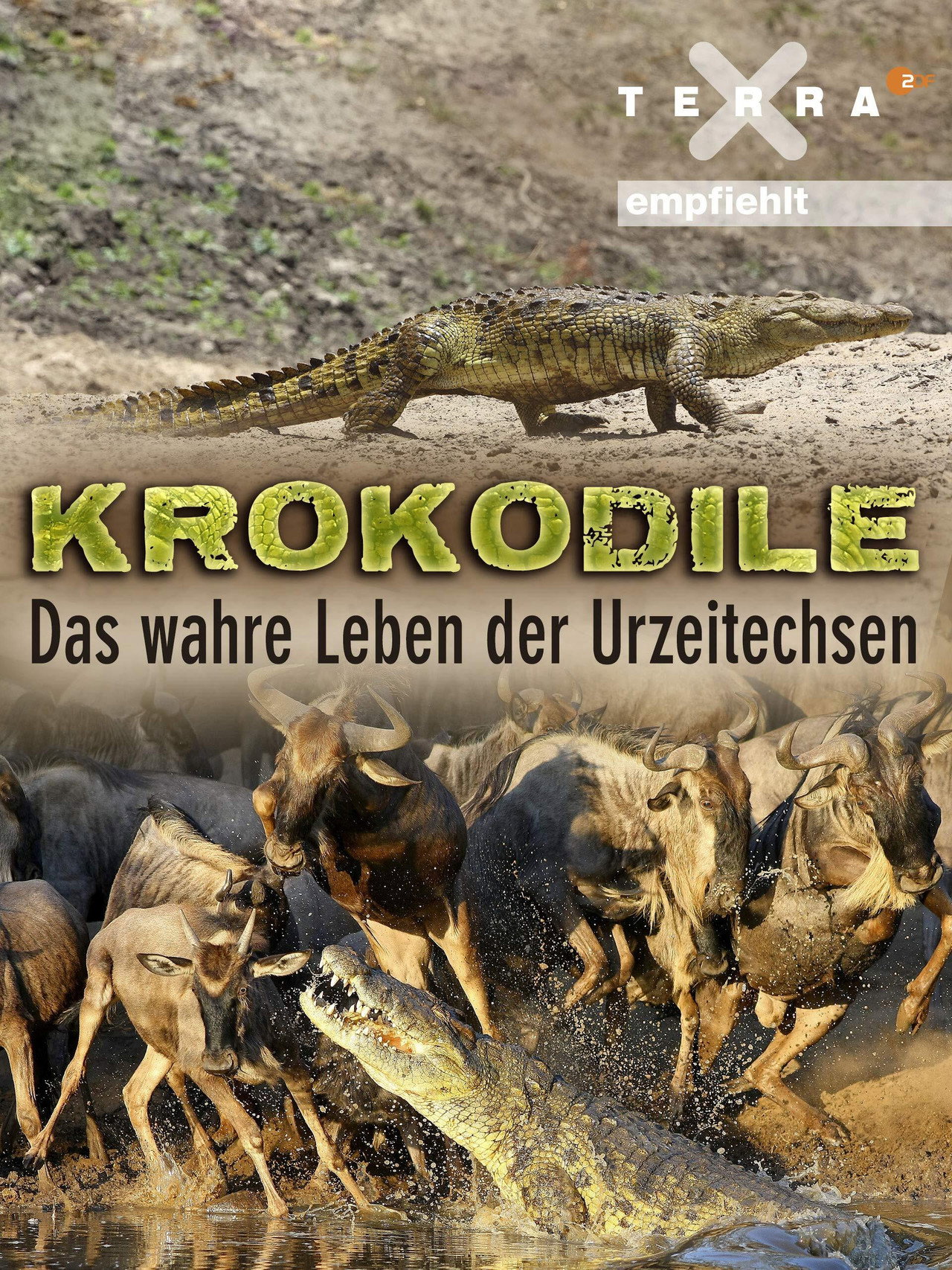 Crocodiles - The Private Life of Primeaval Reptiles poster