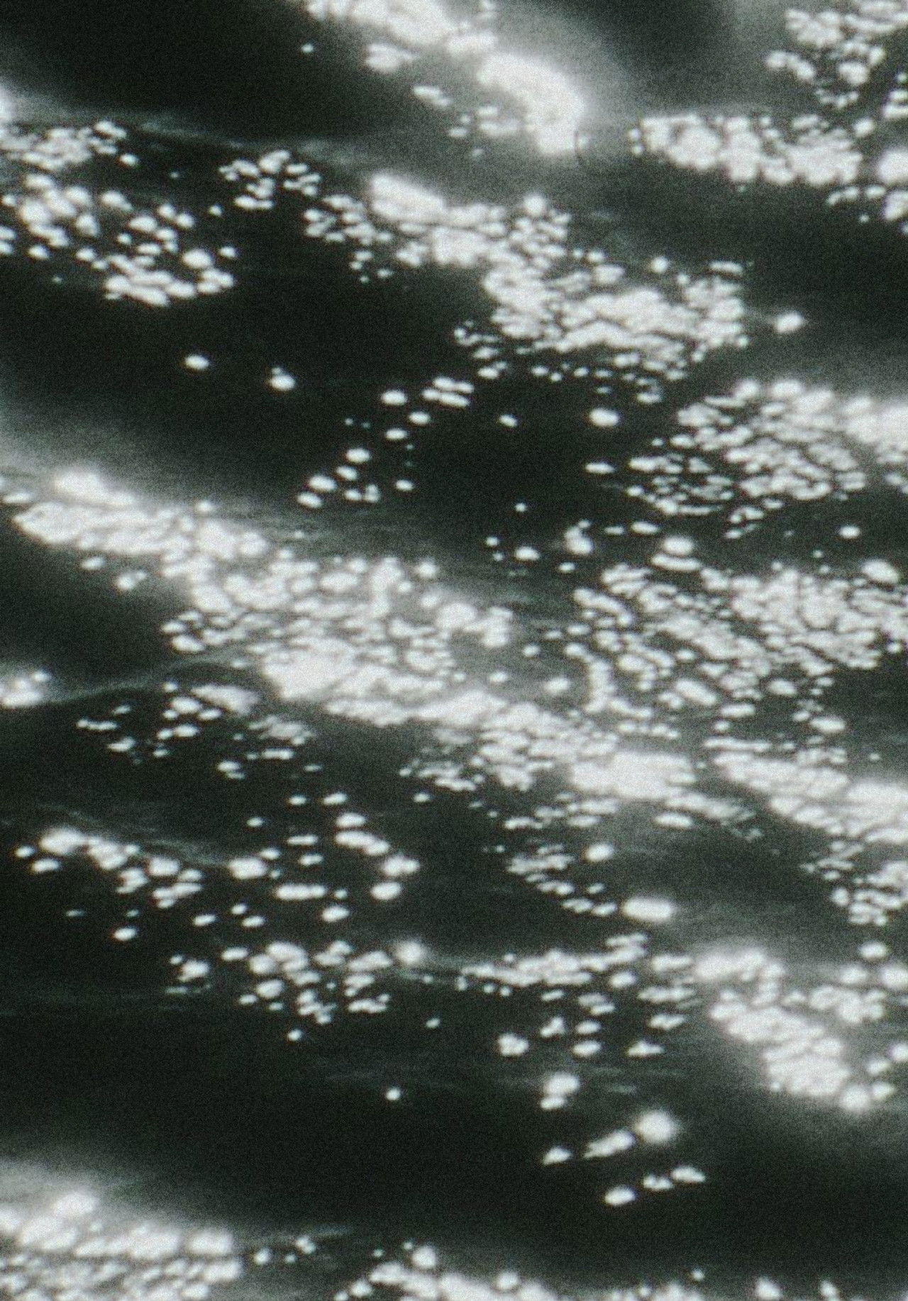 Kristallnacht poster