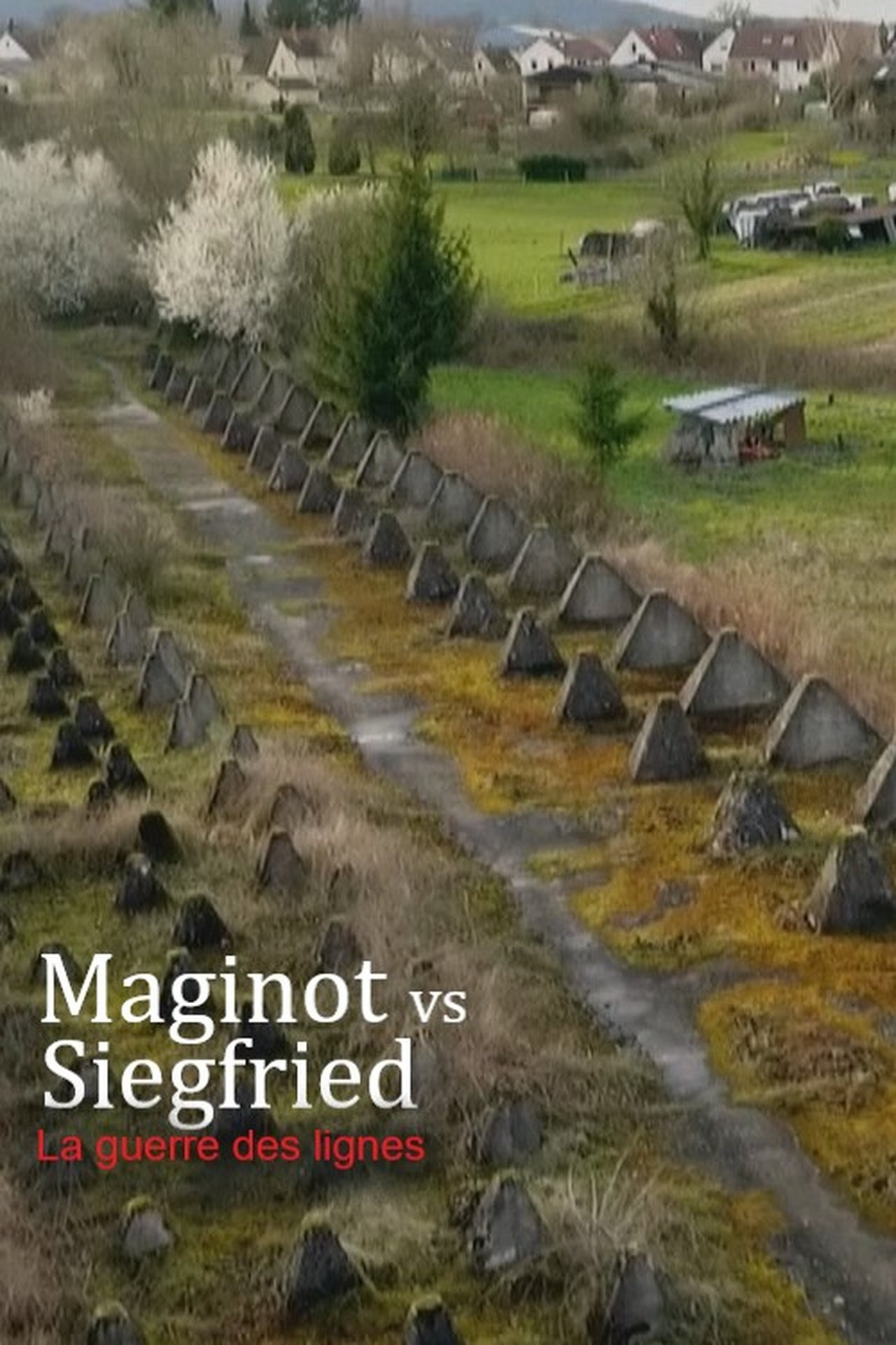 Maginot vs Siegfried : la guerre des lignes