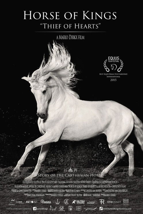 Horse of Kings, Thief of Hearts poster