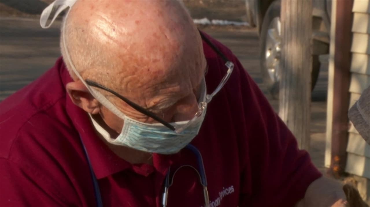The Incredible Dr. Pol - Season 20 Episode 1 : Another Day Another Collar