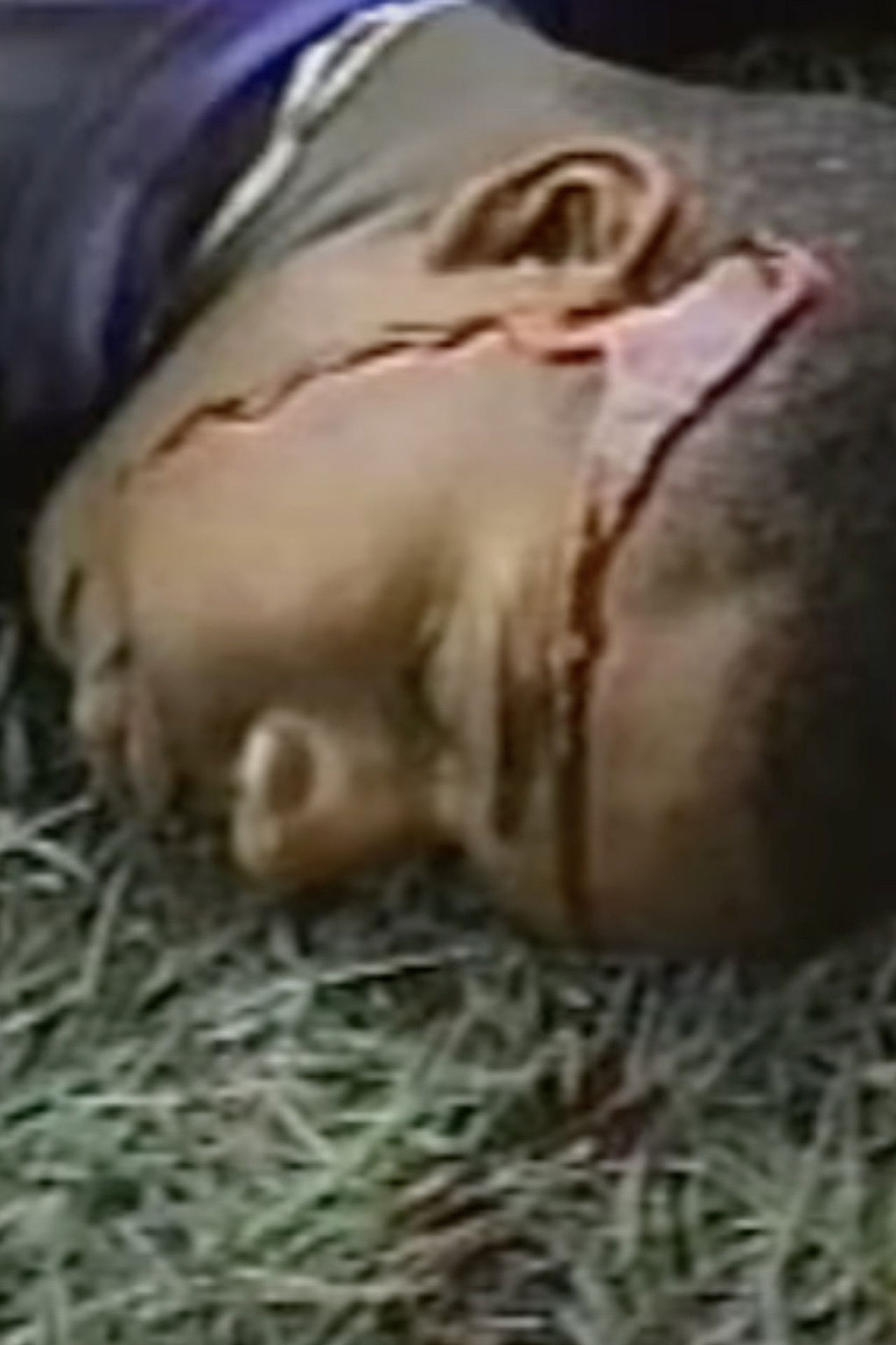 CHS-TV: Murder was the Case Backdrop