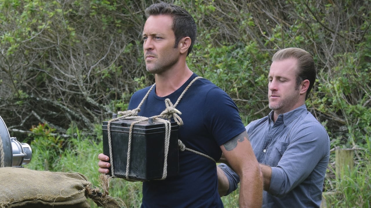 Hawaii Five-0 - Season 7 Episode 18 : E malama pono (Handle with Care)