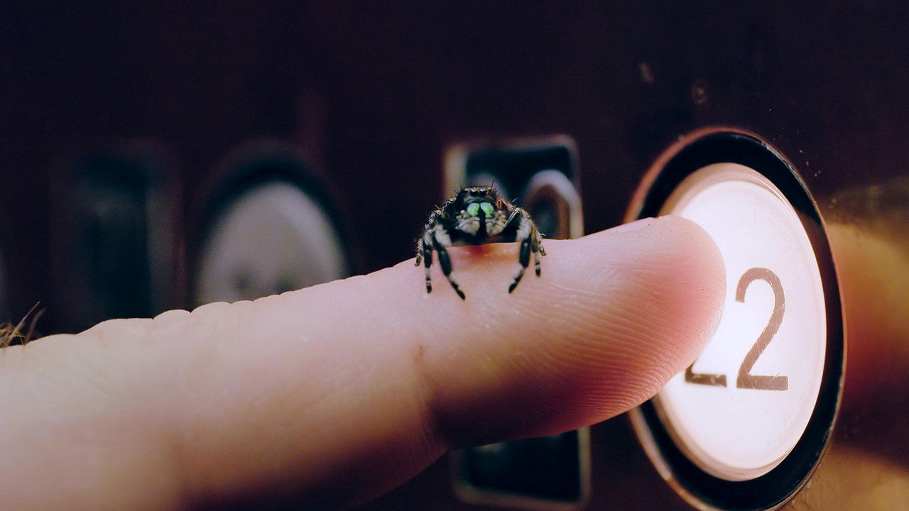 1001 vraies pattes — Moteur... Abeilles !