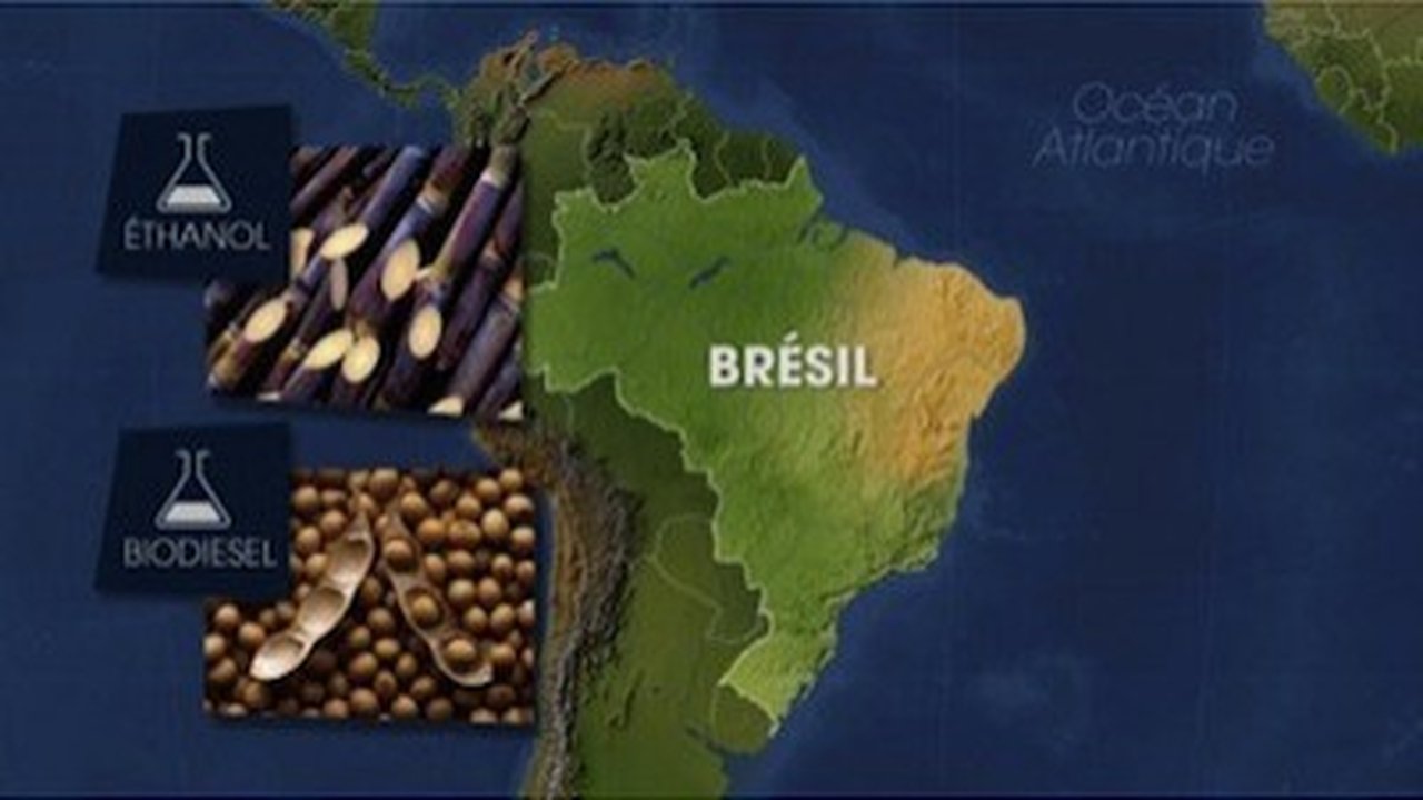 Mapping the World - Season 20 Episode 17 : Episode 17