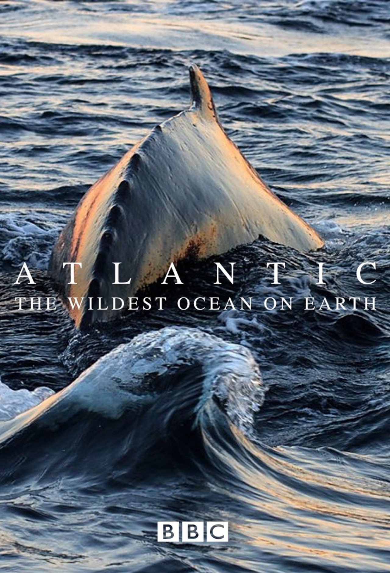 A könyörtelen Atlanti-óceán – plakát 6