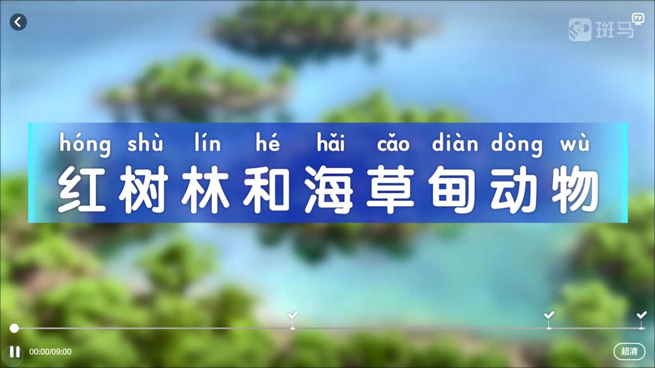 斑马百科 — Épisode 3