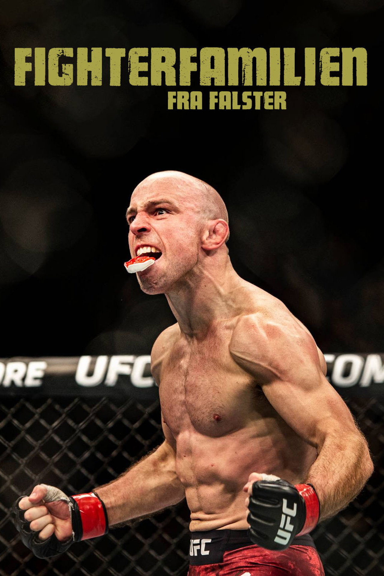 Fighterfamilien fra Falster affisch