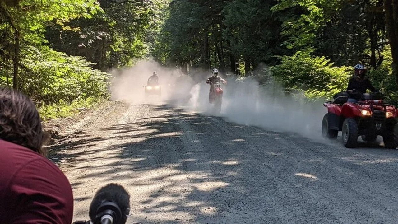 Deadman's Curse backdrop