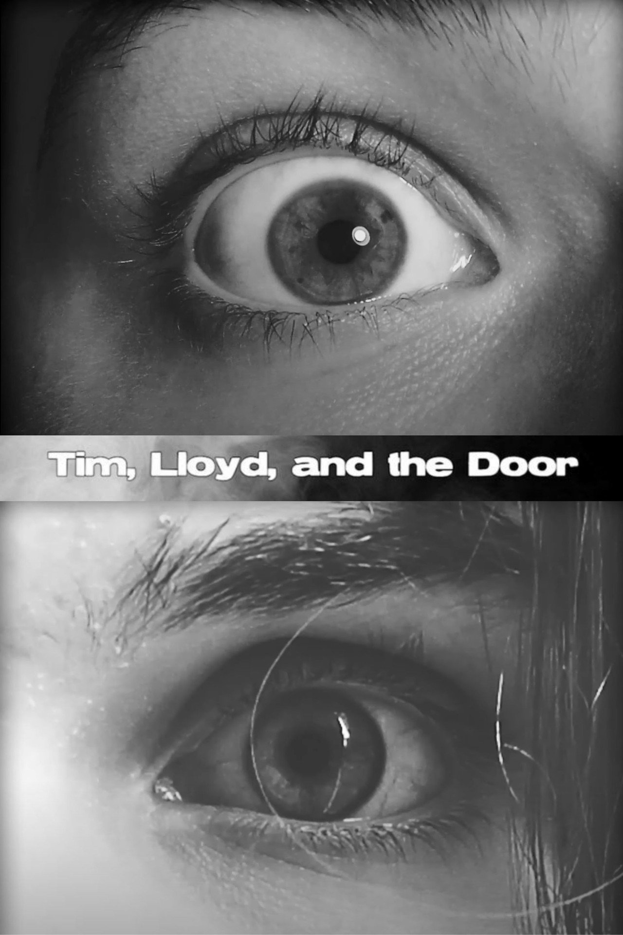 Tim, Lloyd, and the Door filmaffisch