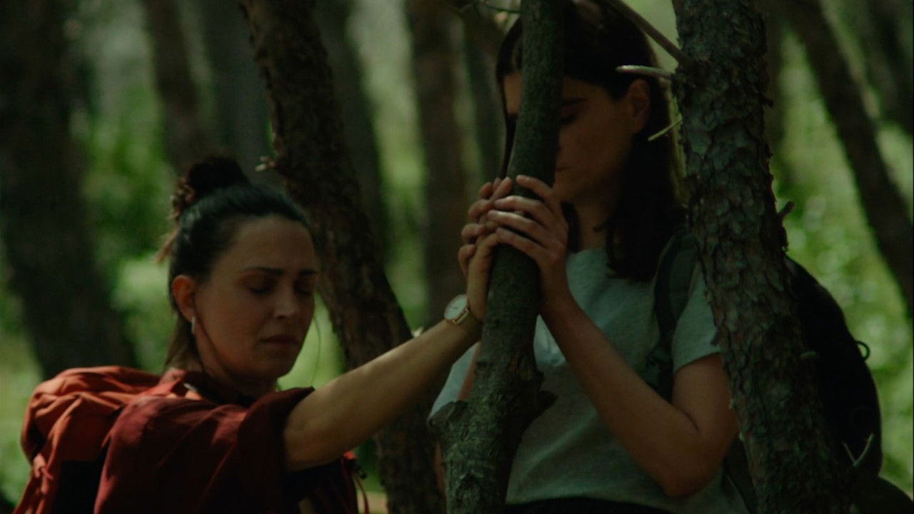 Don’t Try This in the Woods