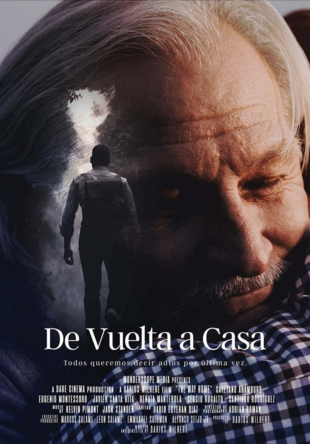 De vuelta a casa filmaffisch