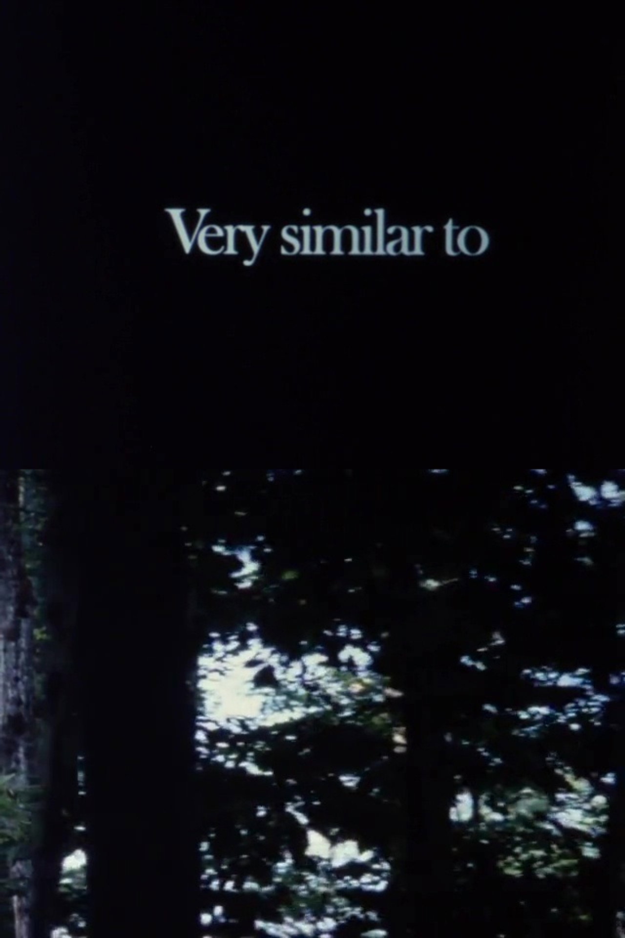 Very Similar to filmaffisch