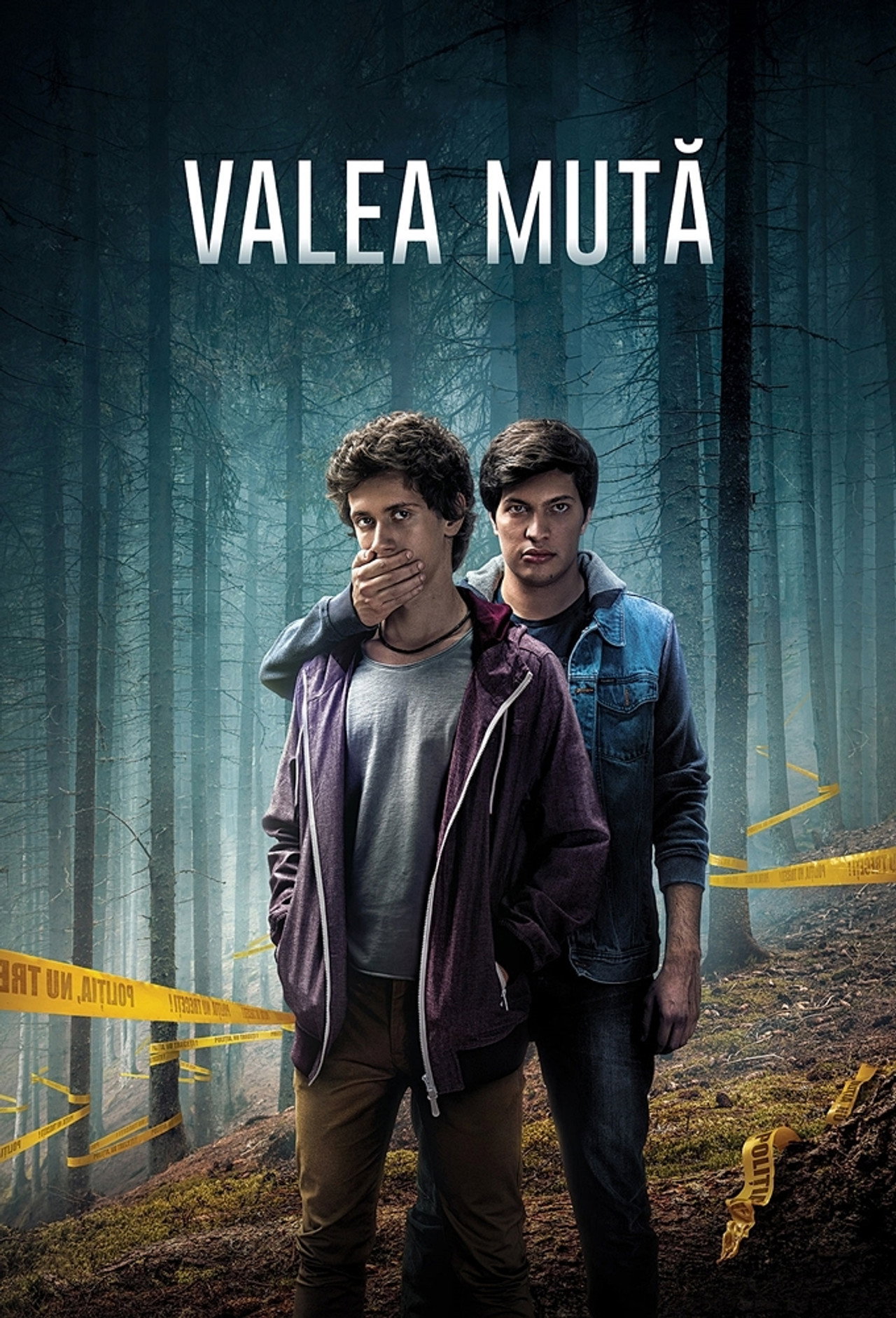 Valea mută affisch