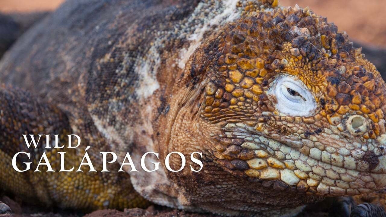 Wild Galápagos