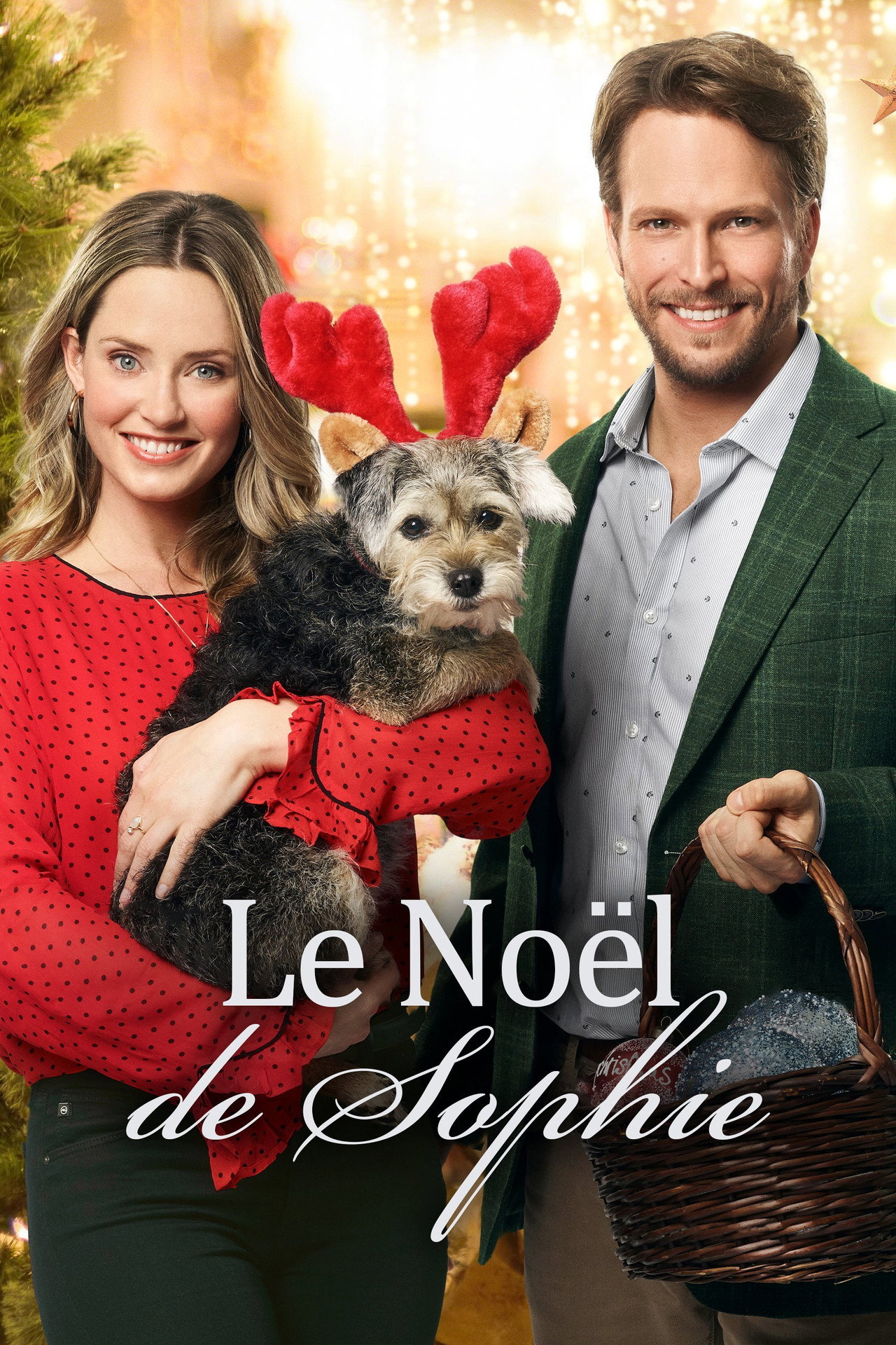 Le Noël de Sophie poster