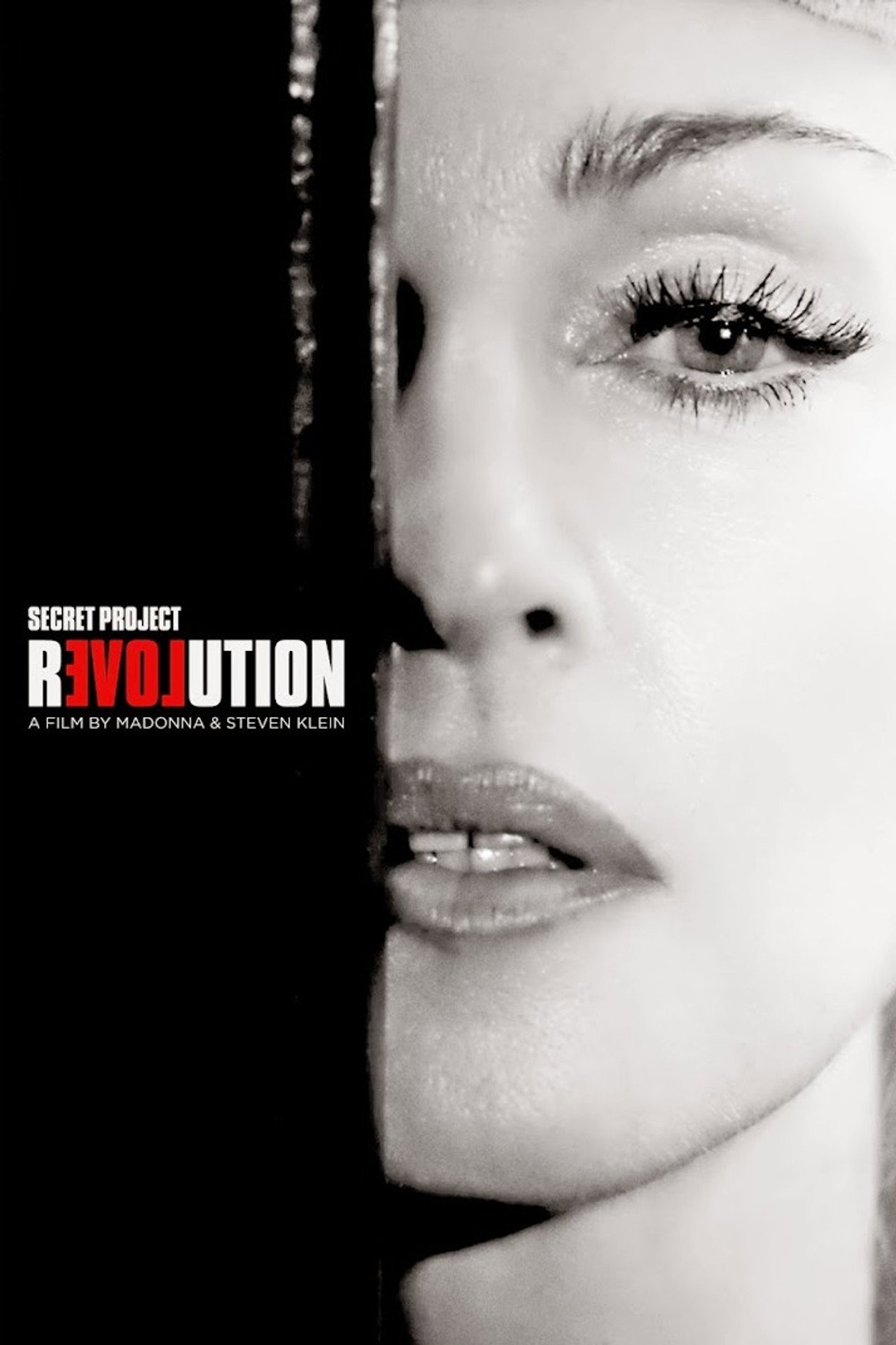 Secret Project Revolution filmaffisch