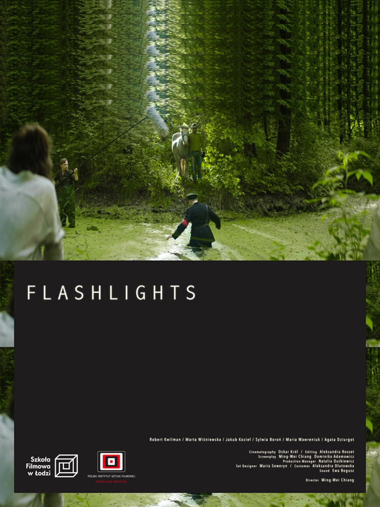 Flashlights Flashlights