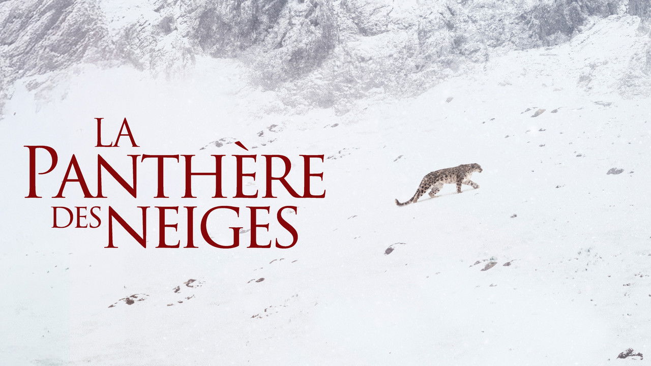 The Velvet Queen backdrop