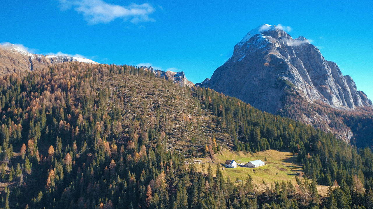 Ossi di Seppia - Il rumore della memoria — Épisode 4