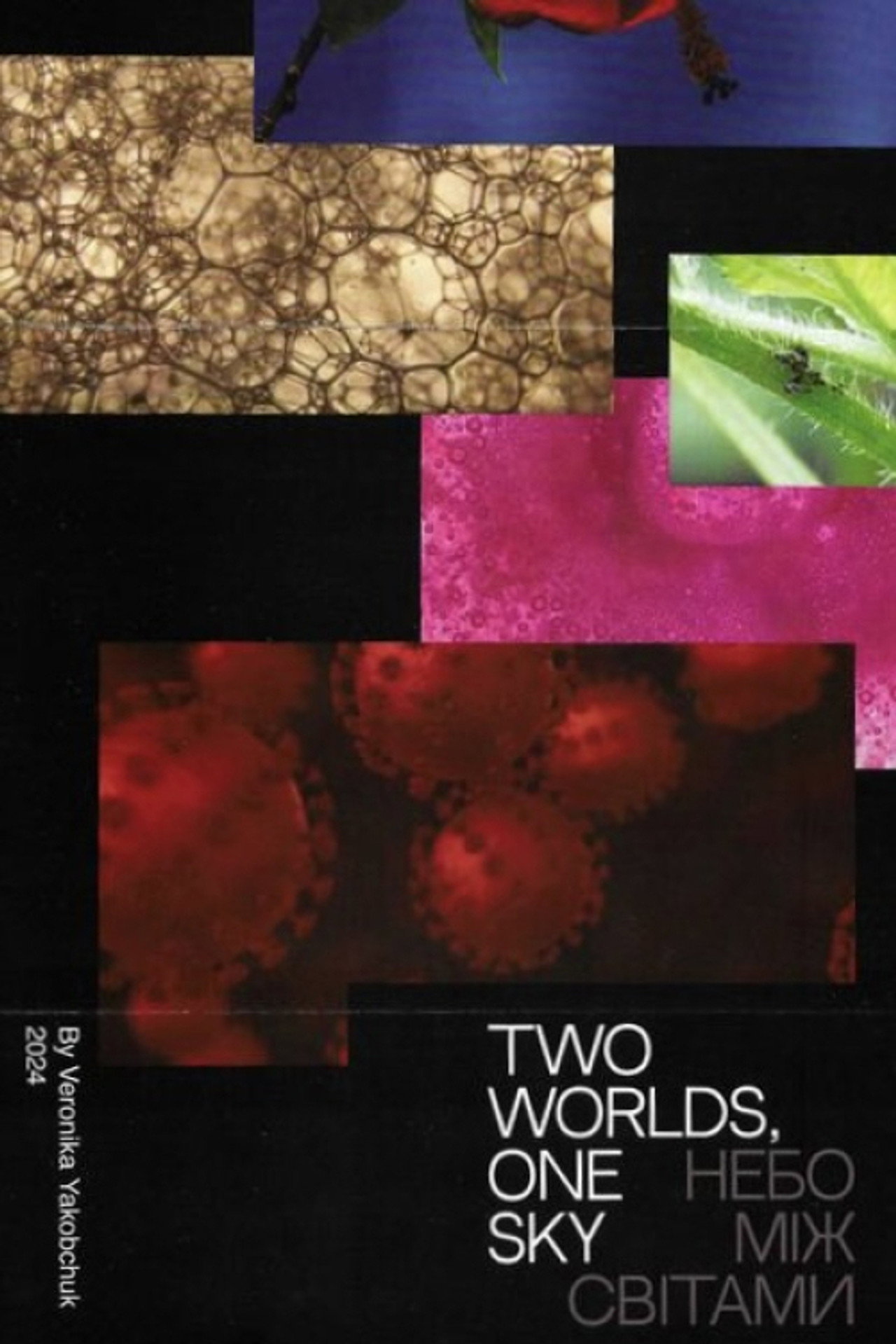 Two Worlds, One Sky poster