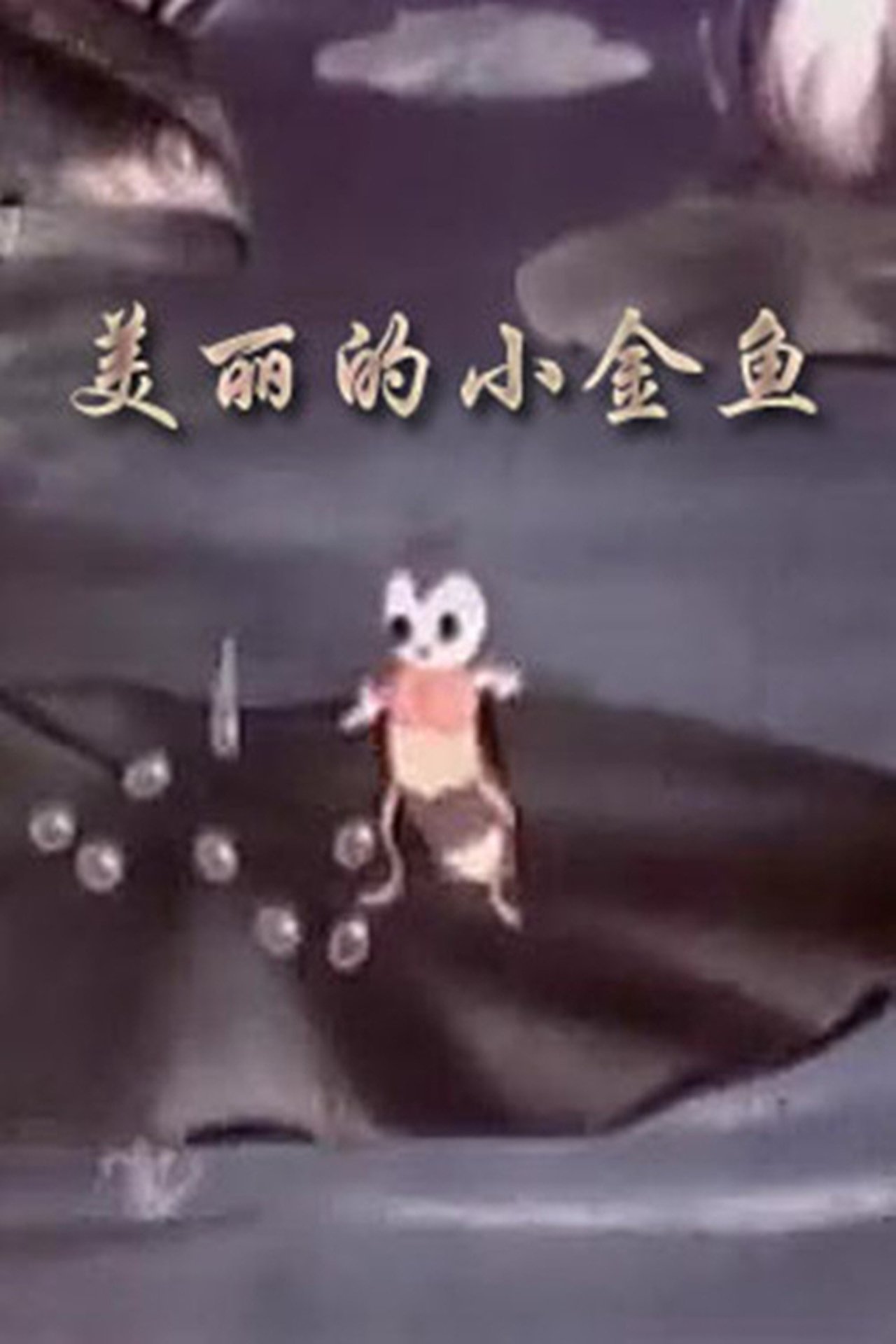 美丽的小金鱼 美丽的小金鱼