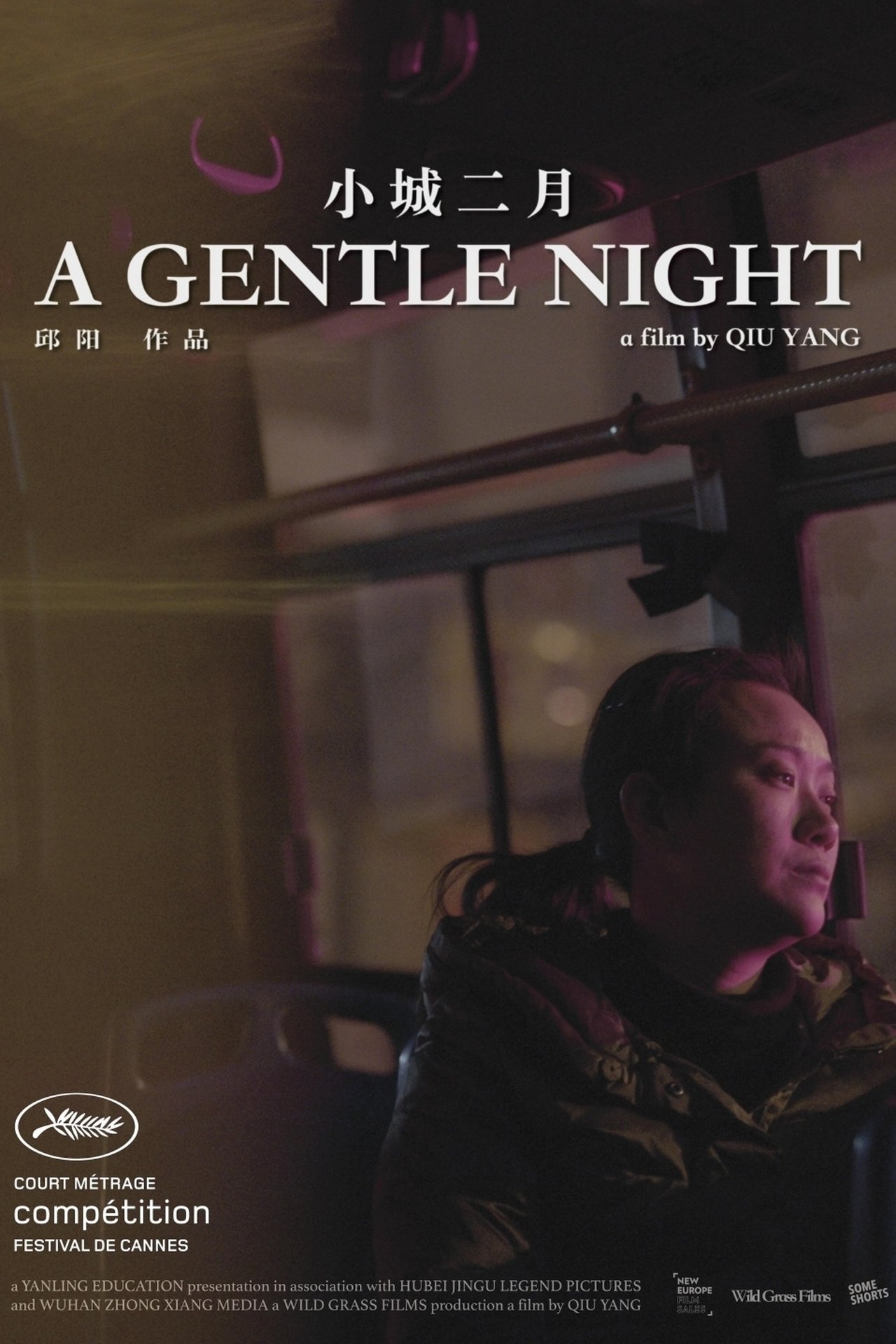 مشاهدة فيلم A Gentle Night مترجم بدون اعلانات - بوستر