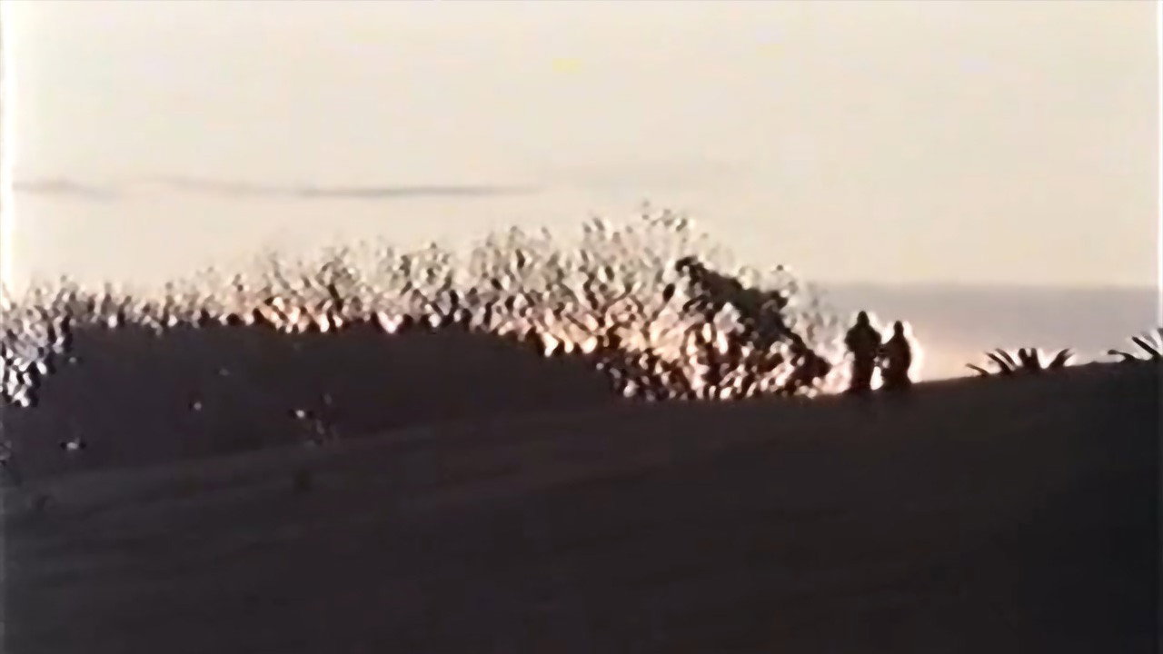 Hard Knuckle backdrop