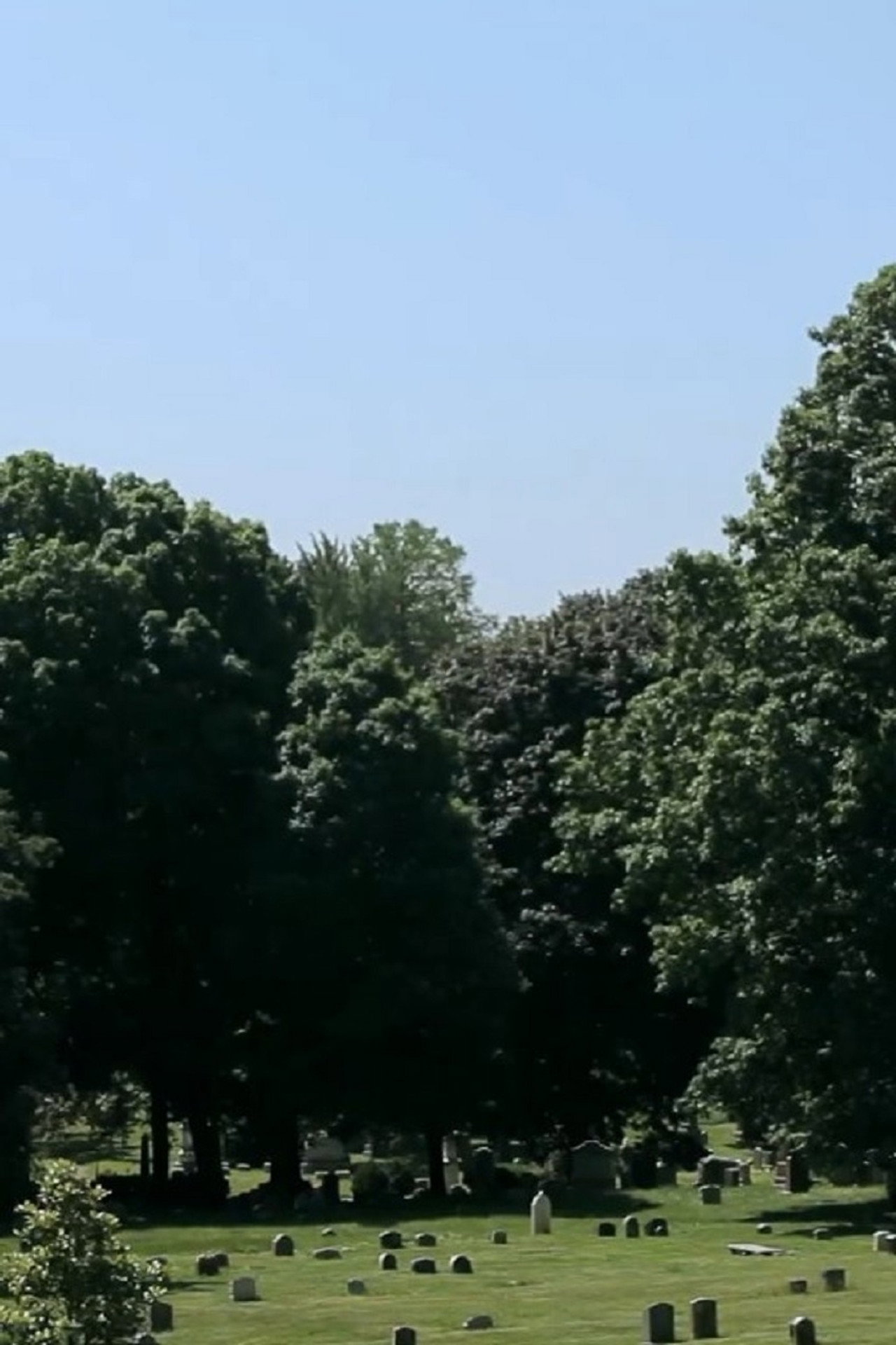 Invasive Species filmaffisch