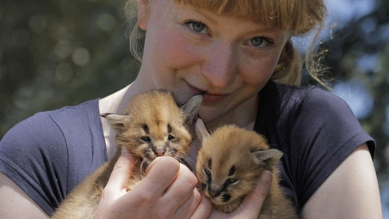 Paula und die wilden Tiere — Épisode 18