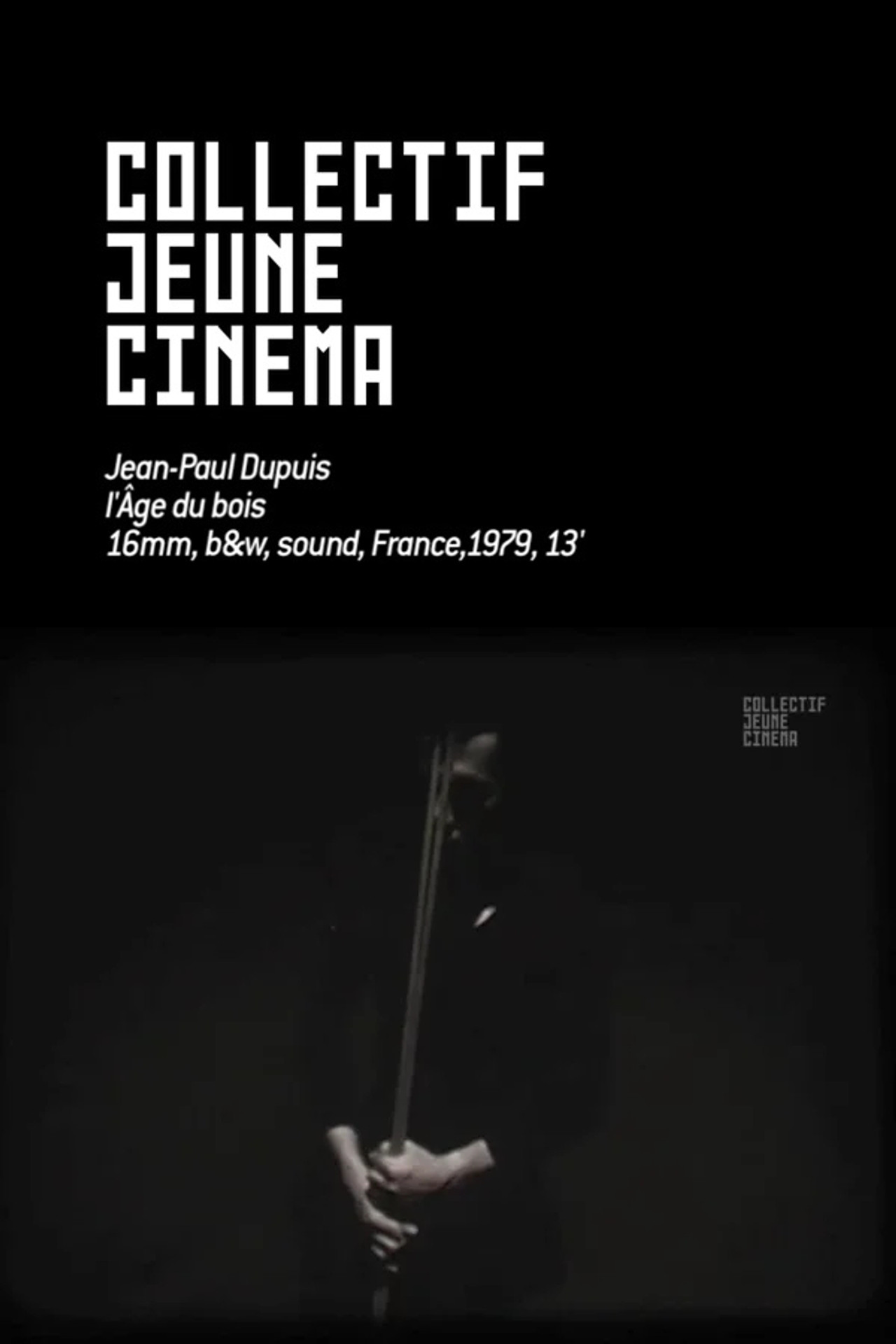 L'Age du bois filmaffisch