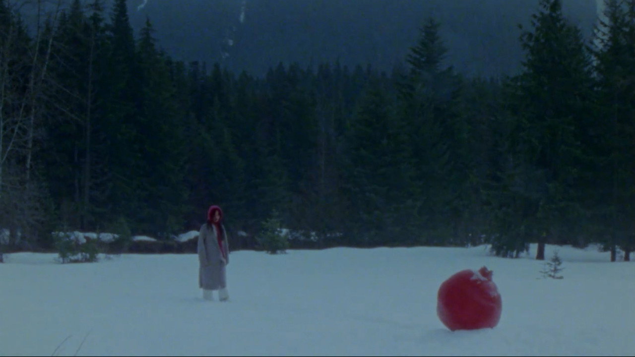 what does it feel like to live inside a pomegranate?