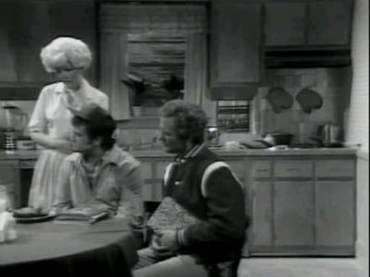 Saturday Night Live - Season 4 Episode 12 : Rick Nelson/Judy Collins